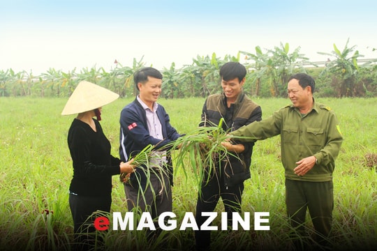 Phát huy vai trò cơ sở trong thực hiện nhiệm vụ chính trị