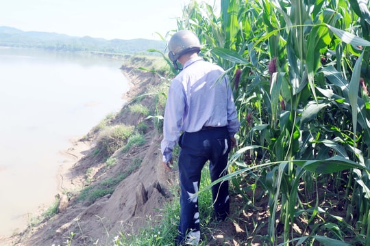 Cận cảnh sạt lở đất sản xuất do thực trạng khai thác cát ở Anh Sơn