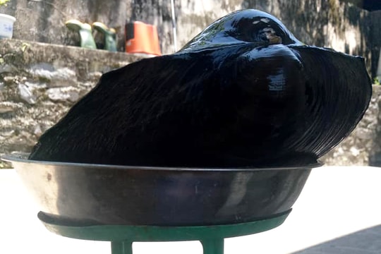 Lội ao kiếm cá, bất ngờ bắt được con trai “khủng”