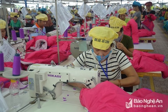 Tăng cường phòng, chống tội phạm trong lĩnh vực BHXH, BHYT, BHTN