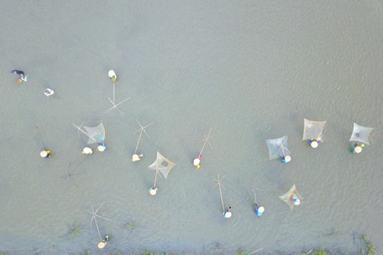 Độc đáo lễ hội đánh cá Đồng Hoa