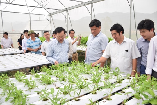 Nghệ An chuẩn bị tổ chức “Cuộc thi mẫu xã nông thôn mới đẹp năm 2018” 