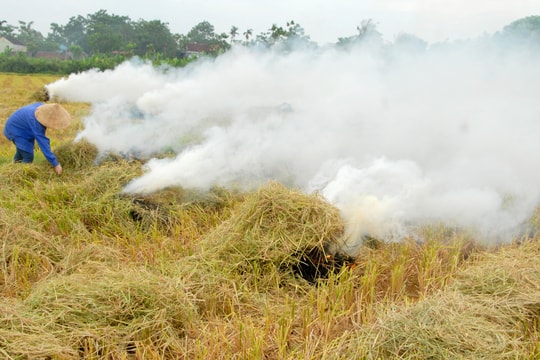 Nông dân Nghệ An đốt rơm rạ trên đồng: Vừa lãng phí vừa gây ô nhiễm