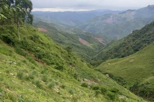 Vào rẫy tìm bò, 2 mẹ con cô giáo mầm non thiệt mạng vì đá núi rơi trúng đầu