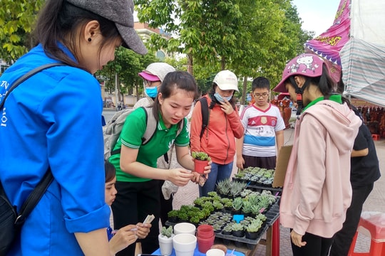 Giới trẻ thành Vinh hào hứng với chương trình “đổi giấy lấy cây”