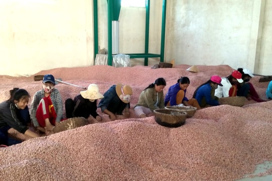 Nghệ An: Nợ xấu trên địa bàn còn 1.745 tỷ đồng