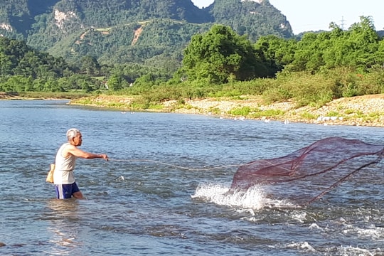 Con Cuông: 'Đa lợi ích' từ nghiêm cấm đánh cá trái quy định