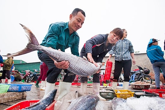 Chú trọng an toàn thực phẩm trong Liên hoan Ẩm thực du lịch quốc tế Nghệ An