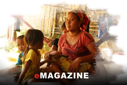 Lời ru buồn giữa đại ngàn Pù Mát