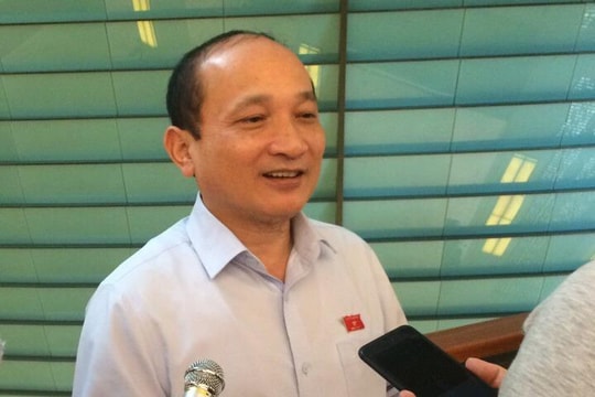 Phó trưởng Đoàn ĐBQH tỉnh: Cần có giải pháp cụ thể hậu kiểm tra các vấn đề môi trường