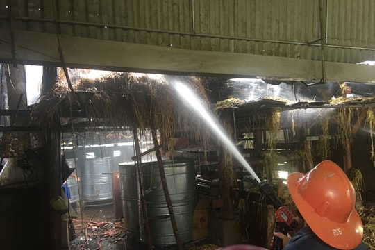  Đô Lương: Cháy nhà chứa rơm vừa thu hoạch