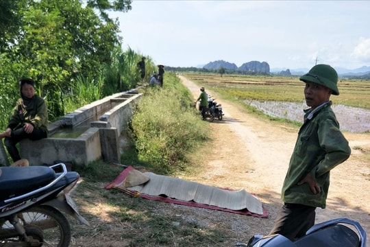 Nghệ An: Rơi từ trên xe chở cây ngô, người phụ nữ làm thuê tử vong tại chỗ