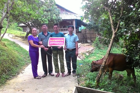 Trao bò giống cho các hộ khó khăn ở Kỳ Sơn, Tân Kỳ
