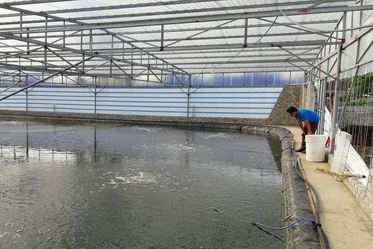 Nông dân xây nhà màng được hỗ trợ 100 triệu đồng