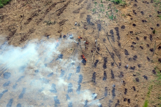 Mùa trỉa lúa rẫy ở vùng cao xứ Nghệ