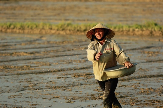 Cần mẫn cho một mùa vụ mới 