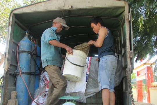 Tân Kỳ: Cấp hơn 5 tấn cá giống trợ giá cho dân