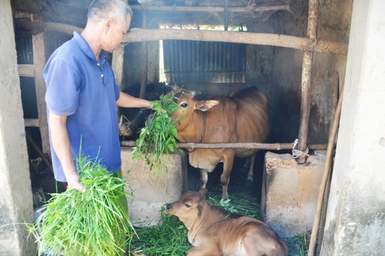 Từ 1/1/2019, bỏ chính sách hỗ trợ trực tiếp cho người dân thuộc hộ nghèo ở vùng khó khăn