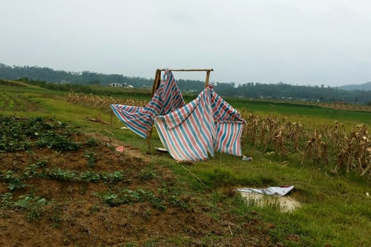 Nạn nhân bị thương nặng nhất trong vụ sét đánh 12 người là 1 bé gái 