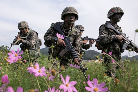 Mỹ và Hàn Quốc có kế hoạch ngừng diễn tập quân sự