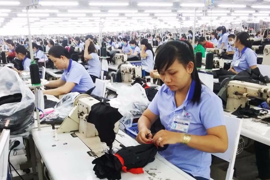 Nhận trợ cấp BHXH một lần - Chấp nhận đánh đổi?