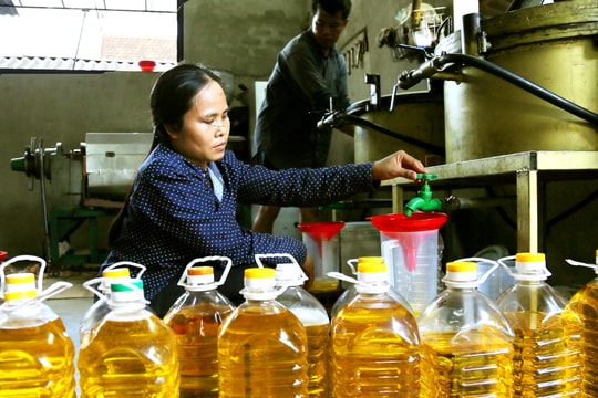 Nghề ép dầu lạc thủ công vào vụ