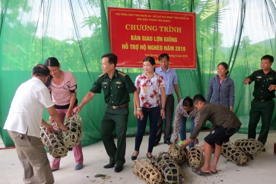 Đồn Biên phòng Tam Quang hỗ trợ hộ nghèo phát triển chăn nuôi