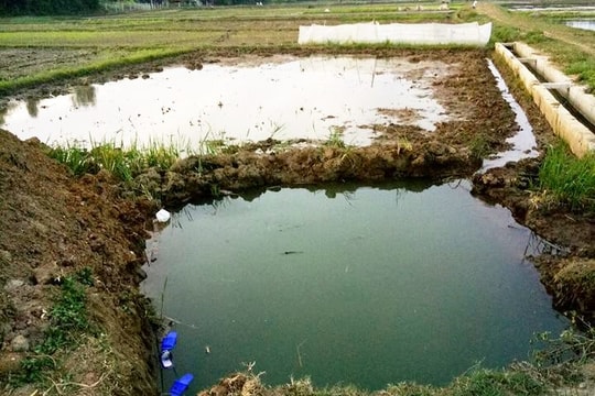 Hai cháu bé 5 tuổi tử vong trong hố nước ngoài đồng