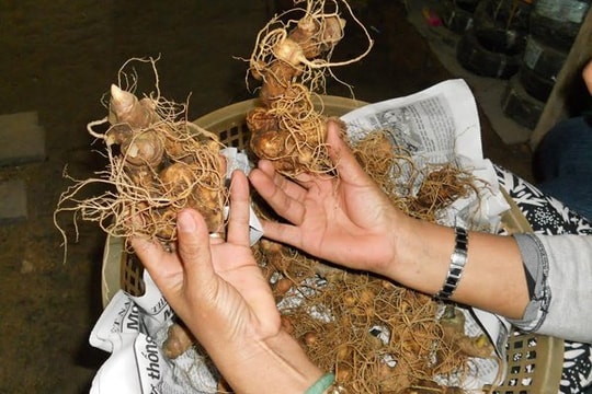 Huyện có 50 hộ ở miền núi có tài sản từ 20 tỷ đến 500 tỷ đồng