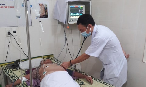 Đi cắt cỏ, cụ già bị hàng trăm con ong đốt nguy kịch