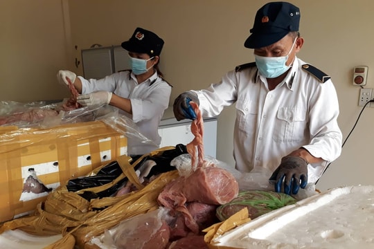 Diễn Châu: Tiêu hủy gần 700kg sản phẩm động vật