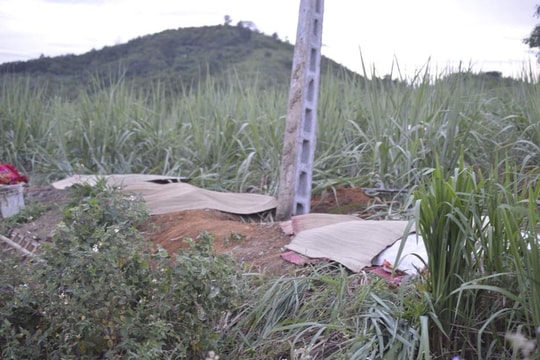 Vụ 4 người tử vong ở Quỳ Hợp (Nghệ An): Do vi phạm khoảng cách an toàn lưới điện