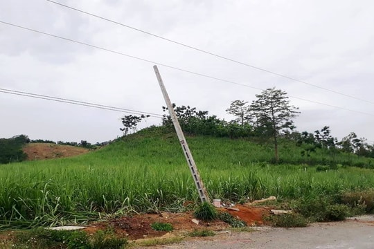 Vụ 4 người tử vong ở Nghệ An: Vi phạm nghiêm trọng hành lang an toàn lưới điện