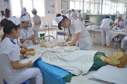 Thực tập sinh Việt Nam tại Nhật Bản đứng đầu bảng về vi phạm pháp luật