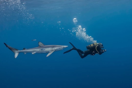 Ảnh thiên nhiên đẹp nhất tháng 6