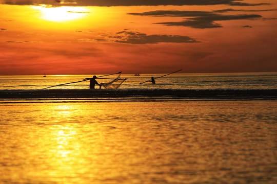  Mẻ lưới trong lộng trở về lúc bình minh