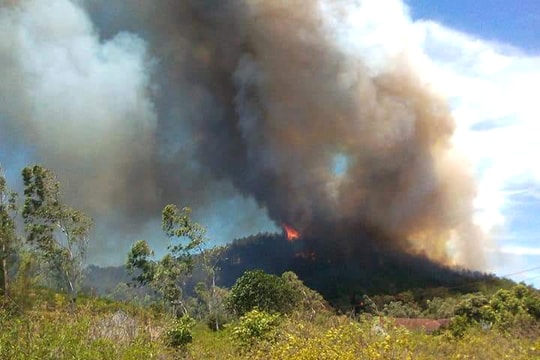 Rừng thông ở Nam Đàn bùng phát cháy trở lại, uy hiếp cả nhà dân