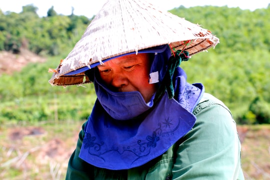 “Chọi” nắng mưu sinh phía núi