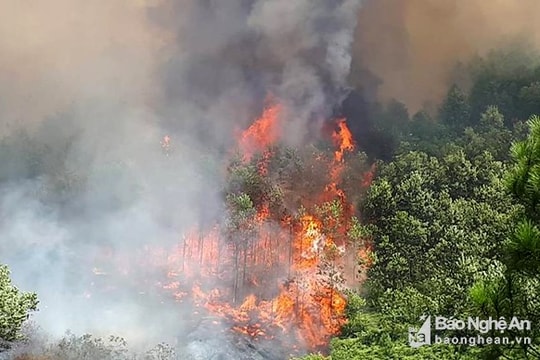 Công điện khẩn về tăng cường các biện pháp phòng chống cháy rừng