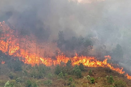 Nắng to, cháy rừng lại bùng phát, lan rộng ở Nam Đàn