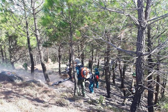 Nắng to, cháy rừng vẫn tiếp tục bùng phát ở Nam Đàn