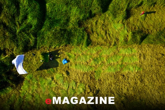 Nắng mưa một cánh đồng làng