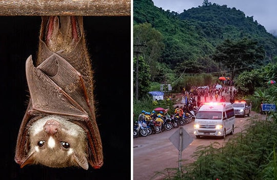 Đội bóng Thái Lan có thể mắc “bệnh hang động”