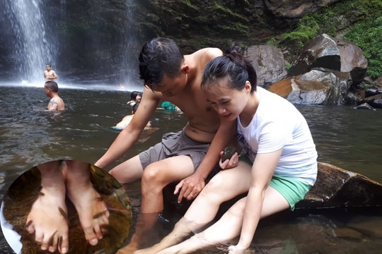“Lội thác” khe Kèm để cá massage chân