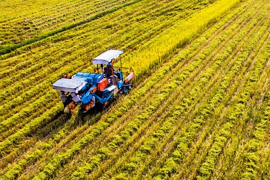 Xây dựng huyện nông thôn mới kiểu mẫu đảm bảo vững chắc, tránh nợ đọng