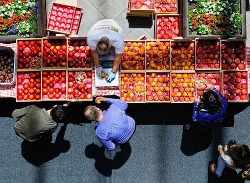 Nga mở rộng lệnh cấm thực phẩm của EU; Syria đánh chặn tên lửa Israel