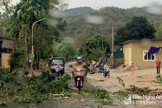 Triển khai các phương án ứng phó với áp thấp đang diễn biến phức tạp