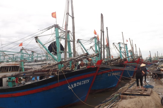 Áp thấp diễn biến phức tạp: Hàng nghìn tàu thuyền của ngư dân Nghệ An vào bờ trú ẩn