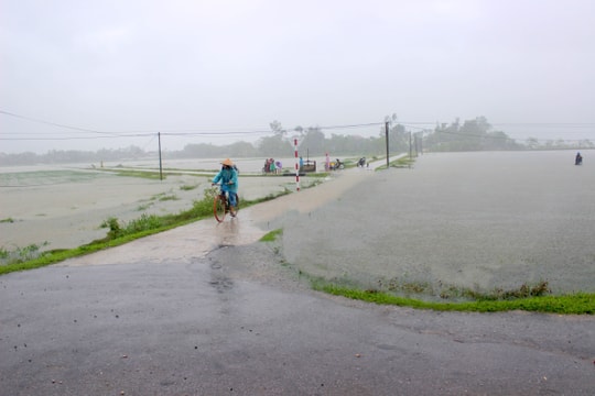 Nghệ An: Hàng ngàn ha lúa hè thu ngập sâu do mưa lớn
