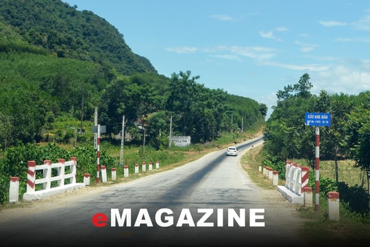 Khẩn trương thu hồi đất lâm nghiệp giao sai đối tượng ở Quỳ Châu